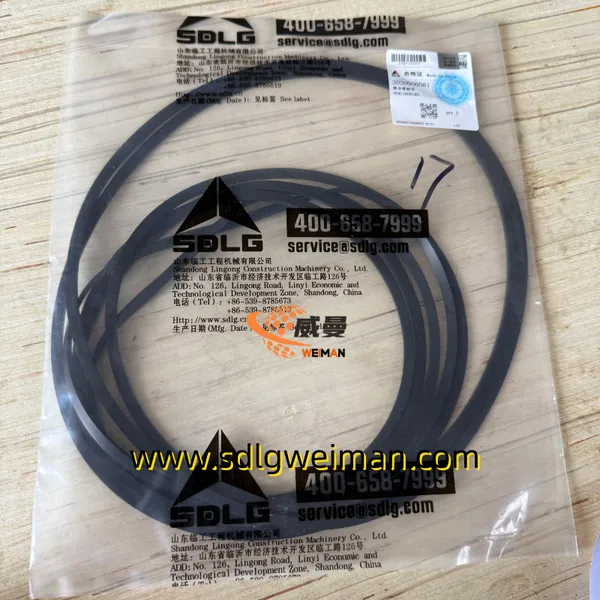 Original SDLG 3030900163 INTERNAI SEAL RING For LG936L LG956L Wheel Loader photo-2