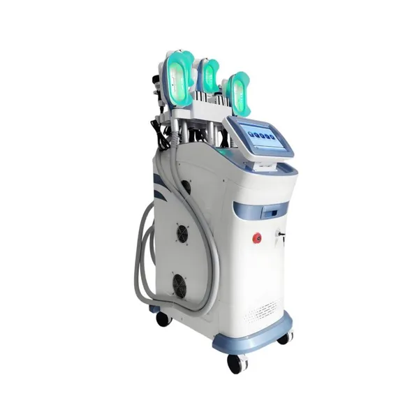Vertical Cryolipolysis Cavitation RF Lipolaser Fat Reduction Skin Care Beauty Machine