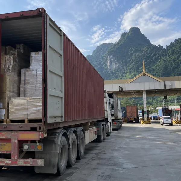 China Truck Freight and Customs Clearance for Southeast Asia Importers photo-4
