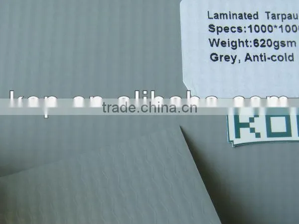 PVC Laminated Tarpaulin 1000*1000 9*9 620gsm photo-2
