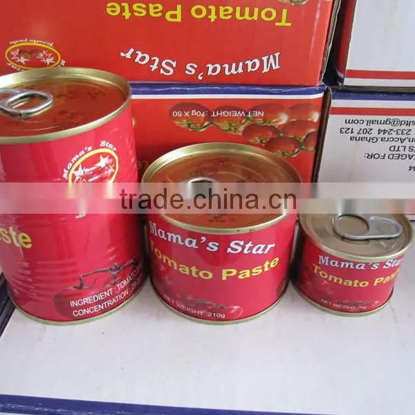 GINNY Quality Tomato Paste, Tinned Tomato Paste 28/30