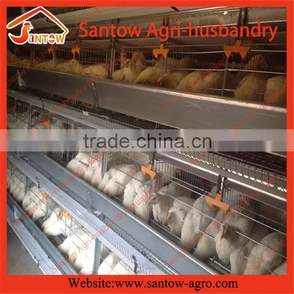 Stable Steel Structure Professional Chicken Egg Layer Cage Chicken Egg Layer Farming