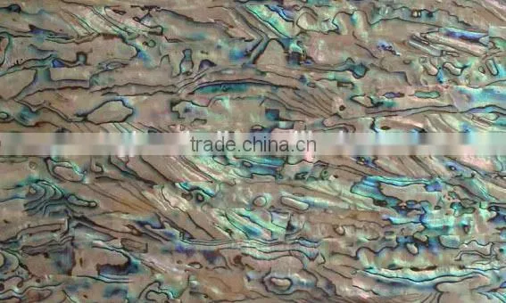 Abalone Shell Shell Mosaic Polished for Interior Wall Decoration