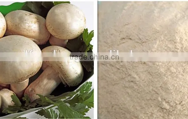 Animal Free Fungal Chitosan,mushroom Chitosan,aspergillus Chitosan
