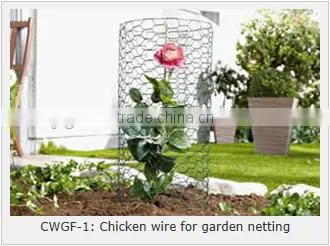 Supply Chicks Netting, Hexagonal Wire Netting (electro Galvanized, Hot Dipped Galvanized/ Hot-dipped Galvanized) photo-2