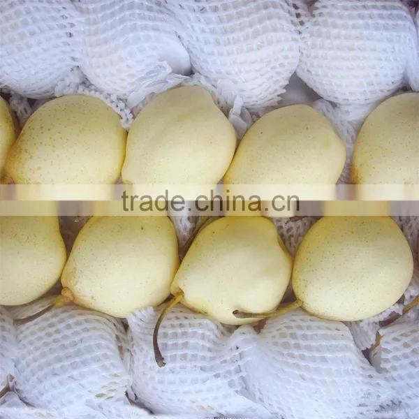 He Bei Fresh ya Pear photo-2