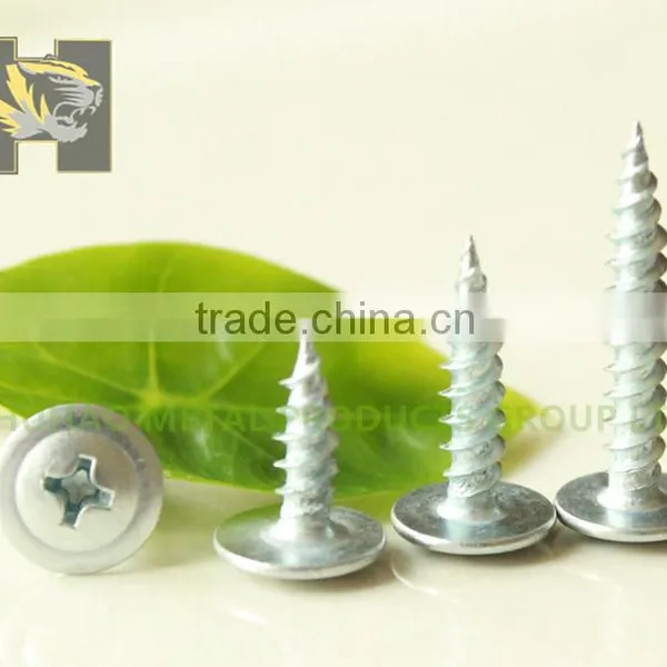 Great Specifications Truss Head Self Tapping Screw Galvanized photo-2
