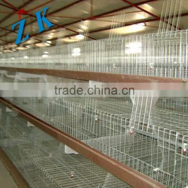 Battery Chicken Cage/layer Chicken Battery Cage/chicken Layer Cage for photo-5