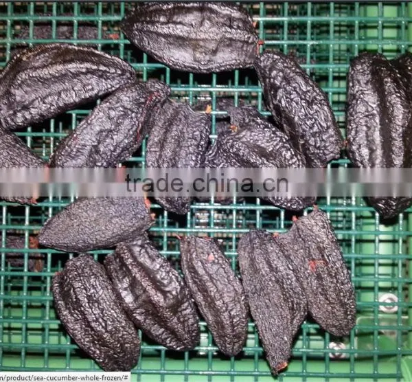 Sea Cucumber Whole Frozen photo-4