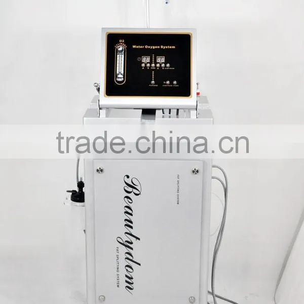 Professional Oxygen Facial Machine 2014 Oyaga H-008 Hyperbaric Oxygen Facial Machine Multifunction 5 In 1 Oxygen Facial Machine photo-2