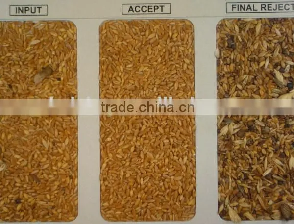 Patented Ejector With 5000+pixel Color Sorter With Fast Detection and High Identification Rate,beer Barley Grading Machine photo-4