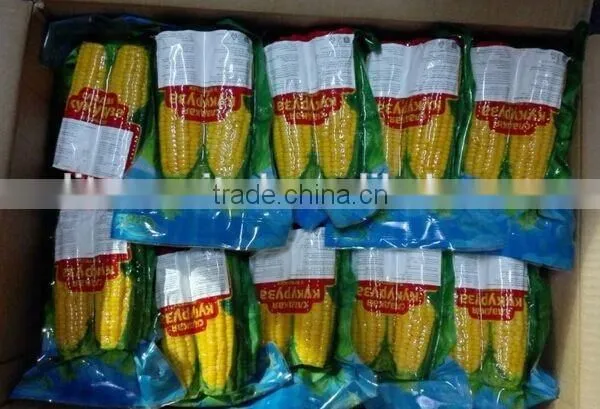 IQF Frozen Yellow Corn Cob in Vacuum Package photo-2