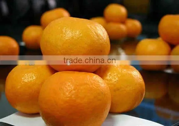 Orange Puree Orange Pulp
