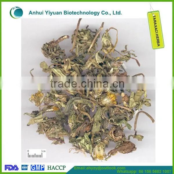 Chinese Herb Medicine Taraxaci Herba (Pugongying)