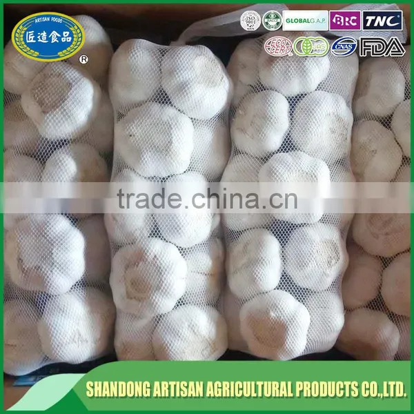 Fresh Normal White Garlic Pure White Garlic China Supplier photo-4