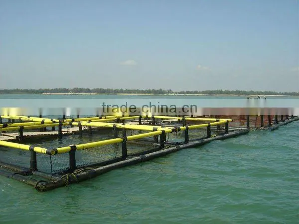 FISH REARING NET