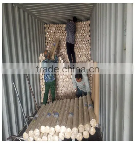 High Quality 2*2 Galvanized Welded Wire Mesh for Sale photo-4