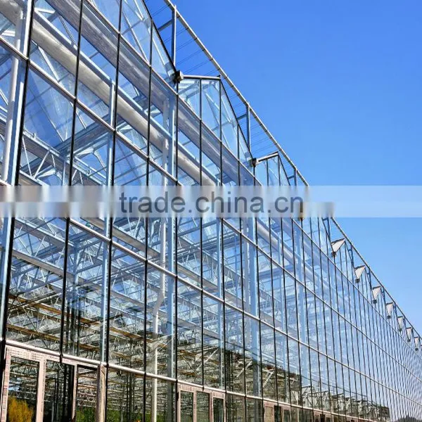 Hot Galvanized Steel and Easily Installed Multi Span Glass Greenhouse photo-2