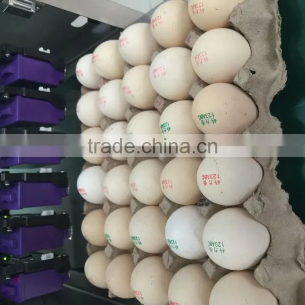 Hot Stamping Date Coding Machine/Egg Code Printing Machine/Bottle Date Code photo-2