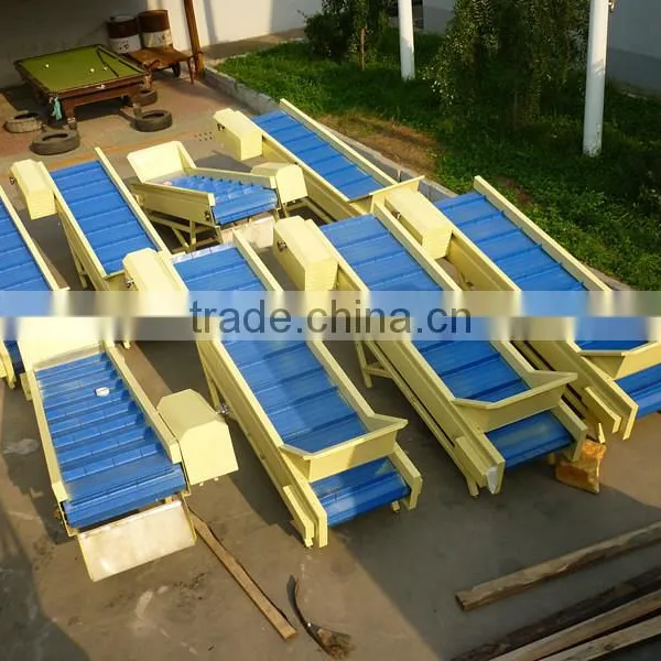 Plastic Belt Food Vegetable Fruit Hoisting Machine Elevator Hoister Conveyor photo-4