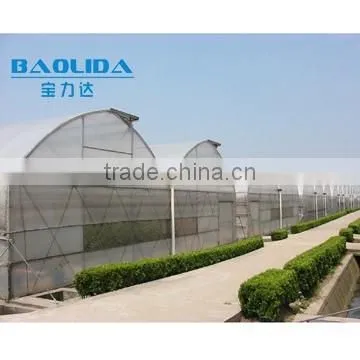 Cheap Easy Multi-span Greenhouse pe Film Green House photo-5