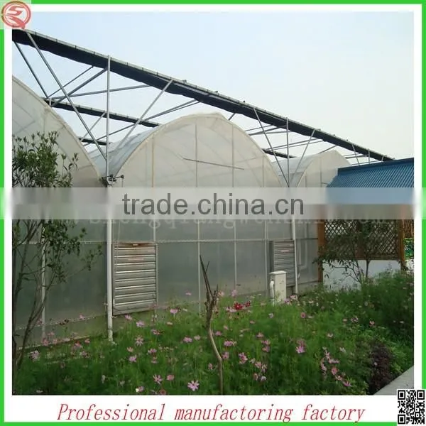 Hot Sale 10.8m Agriculture Plastic Film Greenhouse for Planting photo-3