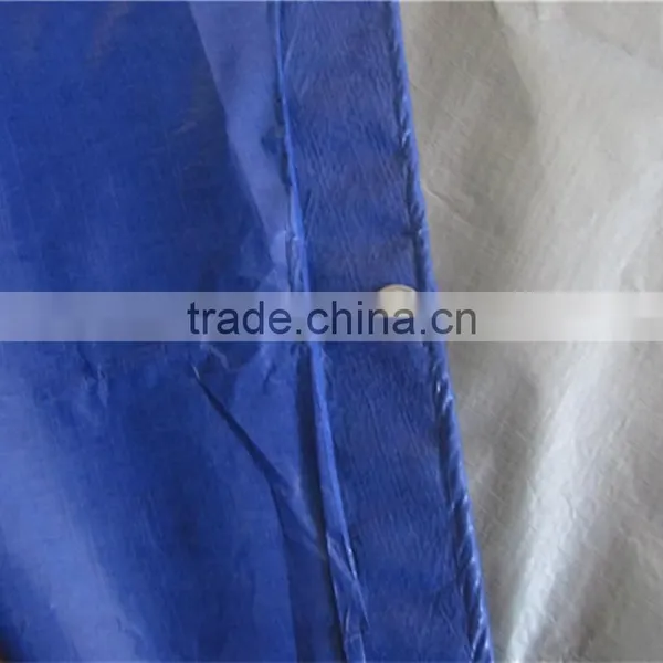 50-350gsm Custom Size Blue and Silver Cheap Price pe Coated Tarpaulin photo-3