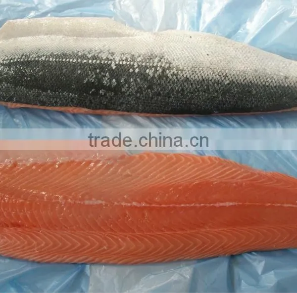 Frozen Chum Salmon Fillet 13+