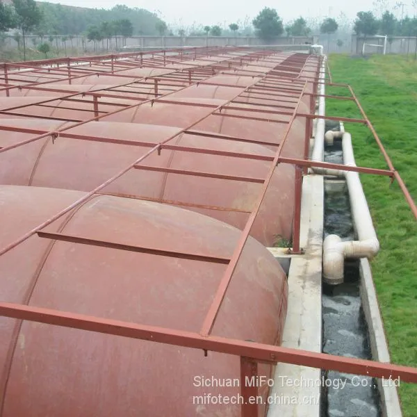 Small Biogas Plant Portable Biogas Plant to Hold Methane