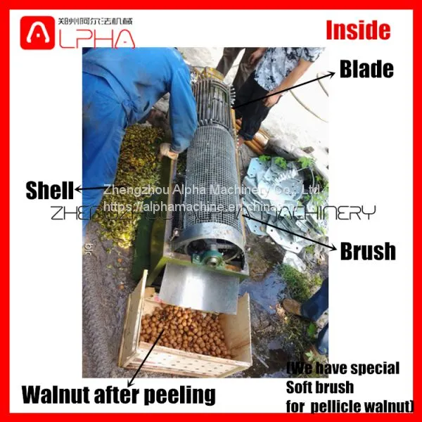 Green Walnut Washing Peeling Machine Walnut Peeler Machine photo-2