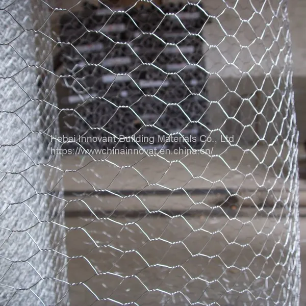 Galvanized Hexagonal Wire Netting Chicken Wire Mesh photo-3