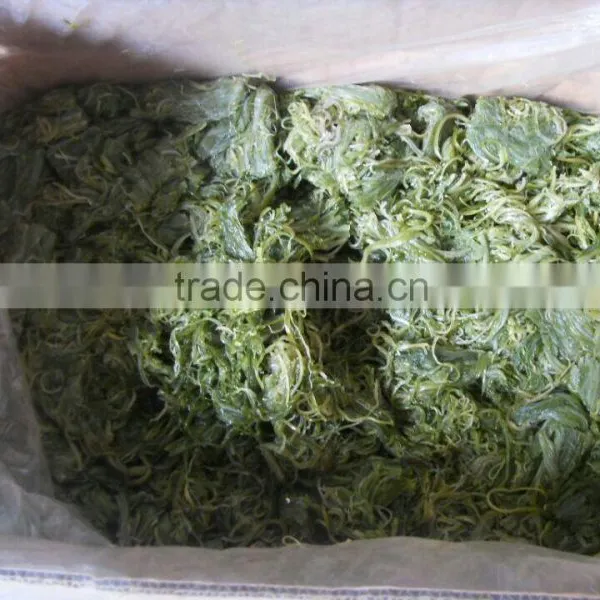 Frozen and Fresh Wakame,Seaweed Salad photo-3