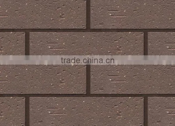 Porcelain Wall Tile photo-2