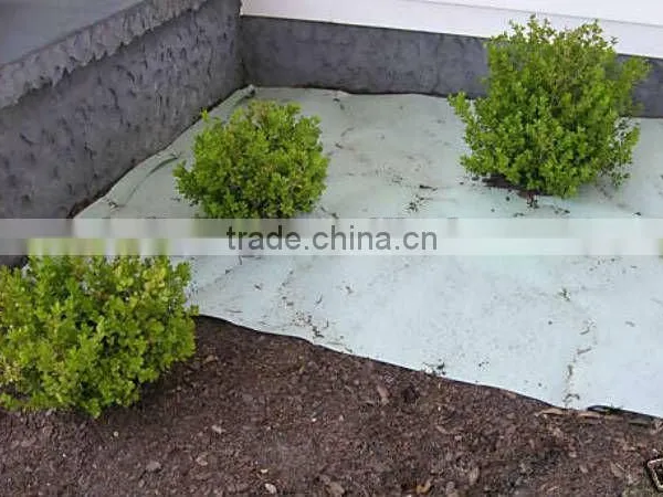 Non Woven Landscape Fabric Factory photo-4