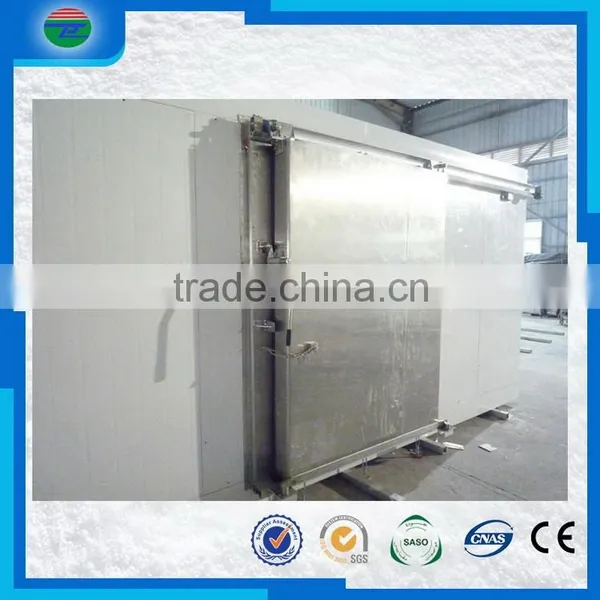Newest Top Quality Fish Freezer/fish Cold Storage/cold Room photo-4