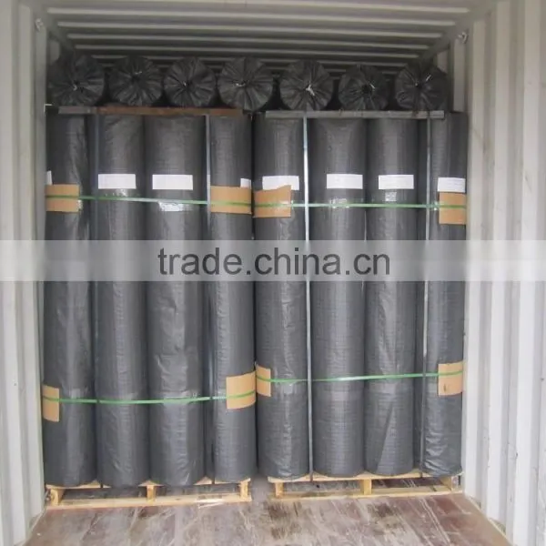 Unaixial Polyester Geogrid Wall With CE Certification photo-6
