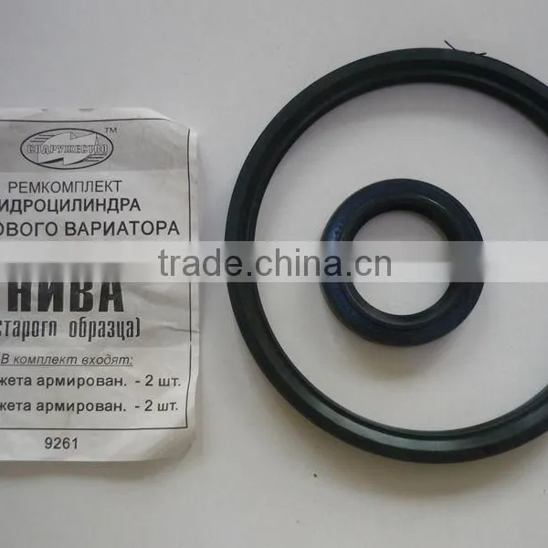 Conventional Auto Spare Parts Exhaust Flexible Pipe Repair Kits