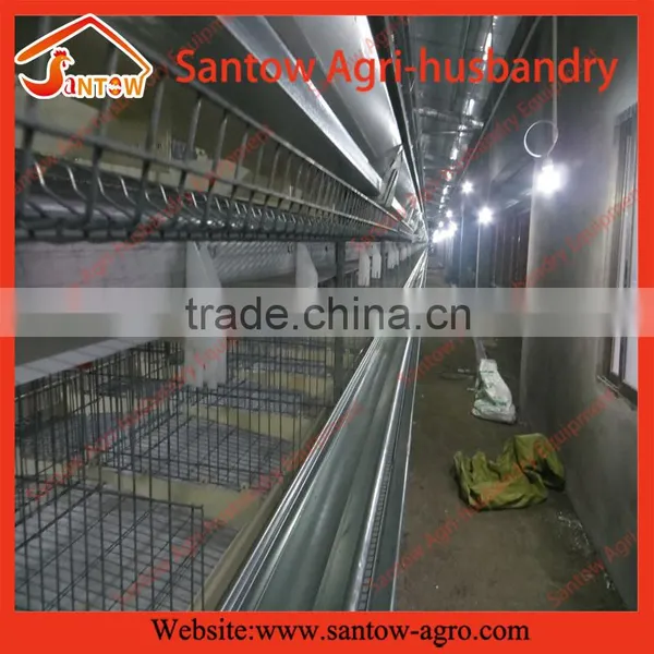 How to Build Stable Steel Structure Battery Cages for Chickens photo-5