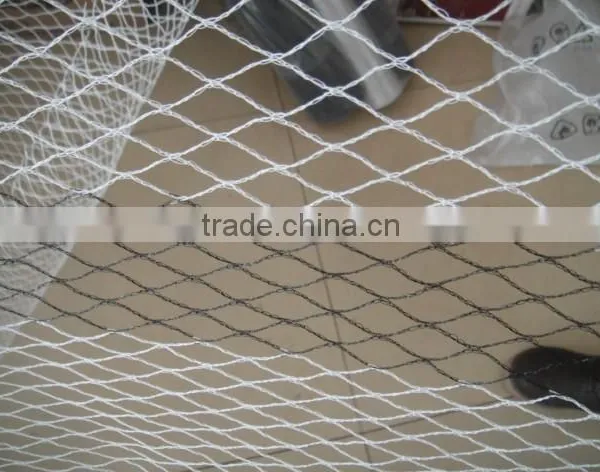 Hot Sales Agricultural Anti Hail Net photo-2
