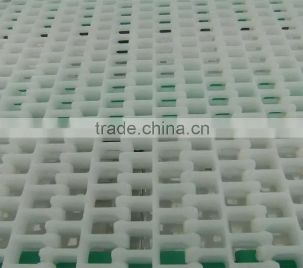 Cherry Tomato Grading Machine photo-4