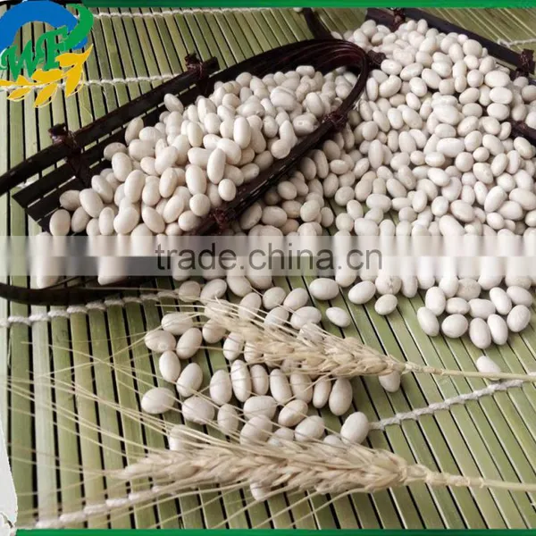 Chinese White Kidney Beans (navy Type) photo-2