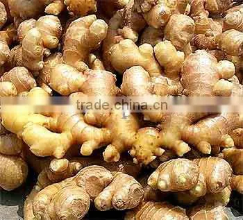 Spice Fresh Ginger