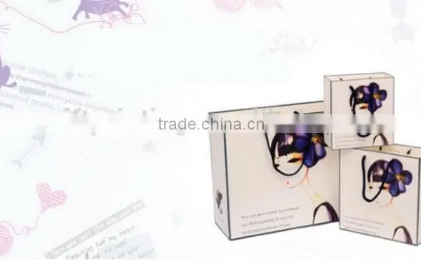 Fashionable Crazy Selling Cheap Paper Gift Bag Printing photo-4