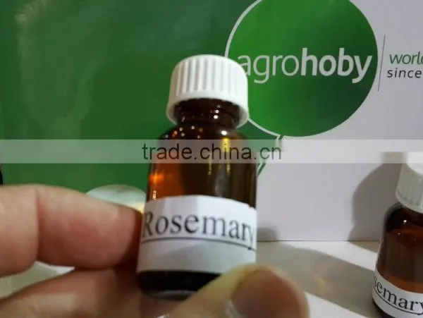 High Quality Rosemary Essential Oil From Turkey ,rosemary Price , Rosemary Export photo-3