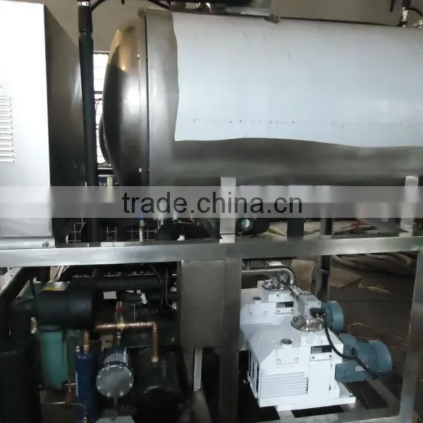 vacuum Freeze Dryer Used in Biomedicine Research photo-3