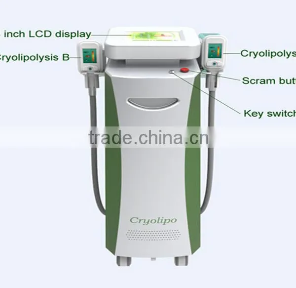 Skin Tightening Promote Detoxification Cryolipolysis Body Reshape Machine With Radio Frequency Function photo-4