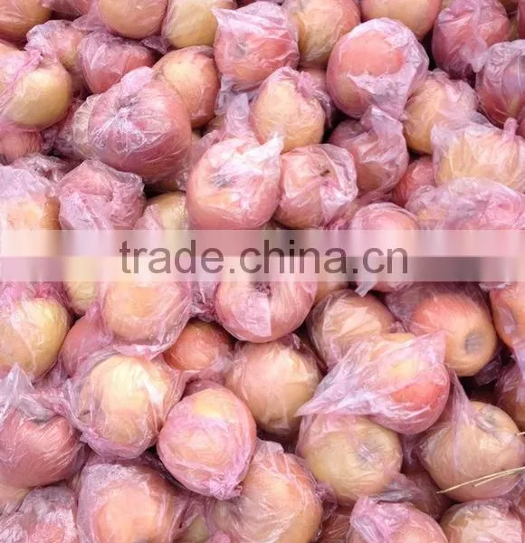 Fuji Apples