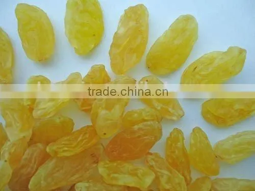 2017 Sultana Raturkish Sultanas Raisins photo-5