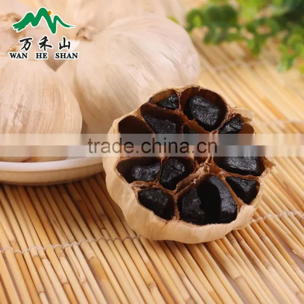 Losing Weight Black Garlic Improving Immune Function photo-4