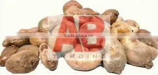 Benin Raw Cashew Nuts for World Market/ Good Quality photo-4